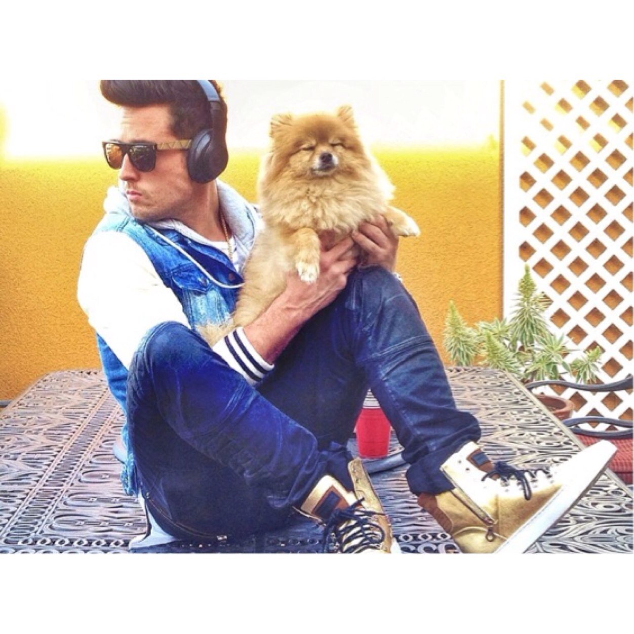 flawlessawyer's profile picture. Hi you please follow @bouncingonbeau :) dont follow this account