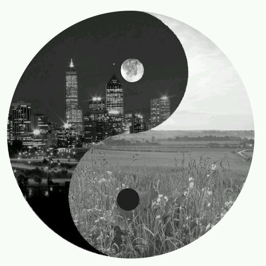 YouTube Channel | Follow & we'll follow back.