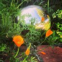 Karin Barnett - @BarnettKarin - Twitter