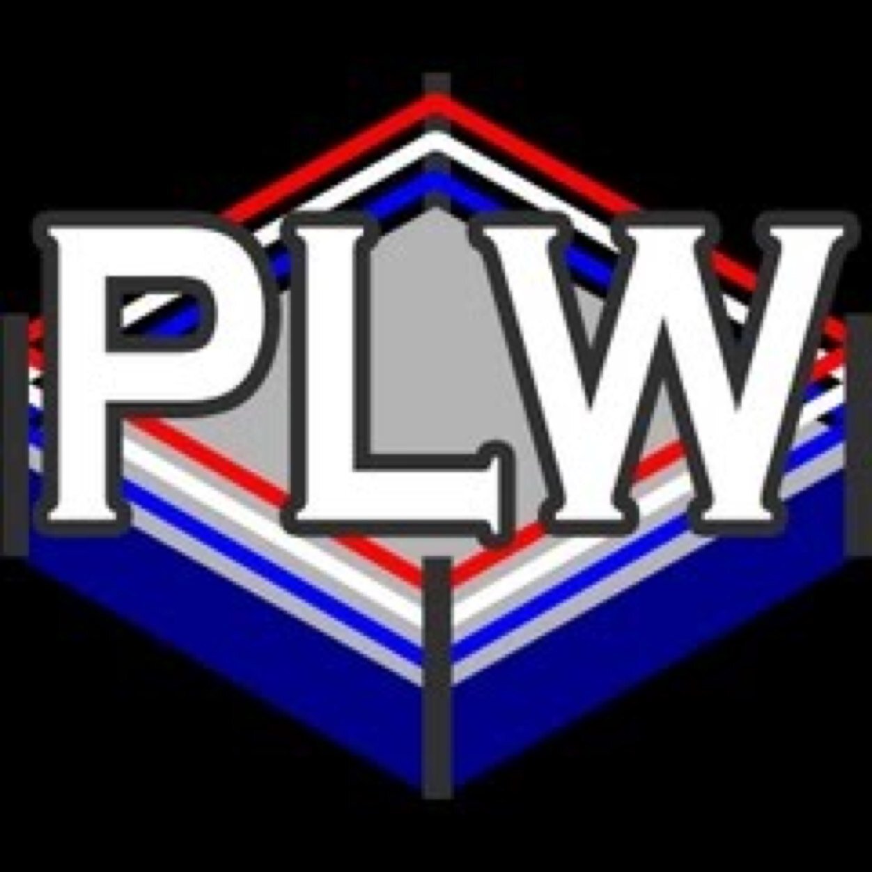 PLW: CM Punk W. Heavyweight: JBL Anarchy: RVD International: Samoa Joe Tag Titles: Dudley Boyz