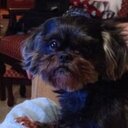 Mandy Durham - @mdoodlebuglex - Twitter