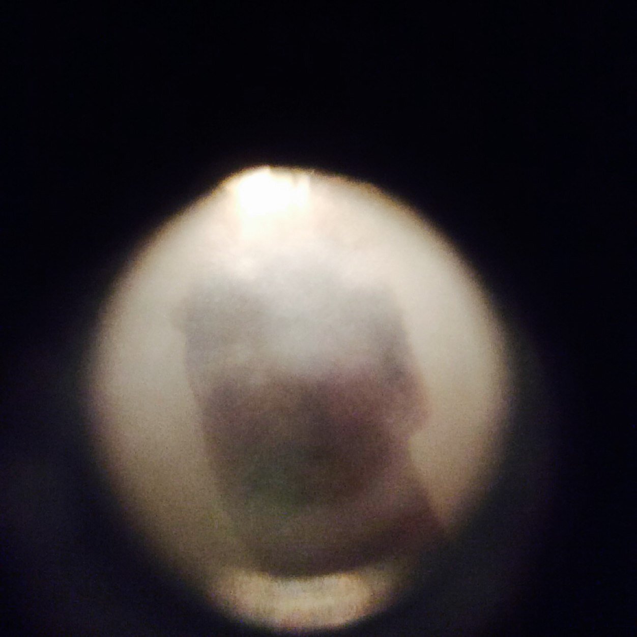 mcfly_evan's profile picture. 