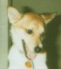 Sr Manager, HR * Former CCP/White Wolfer