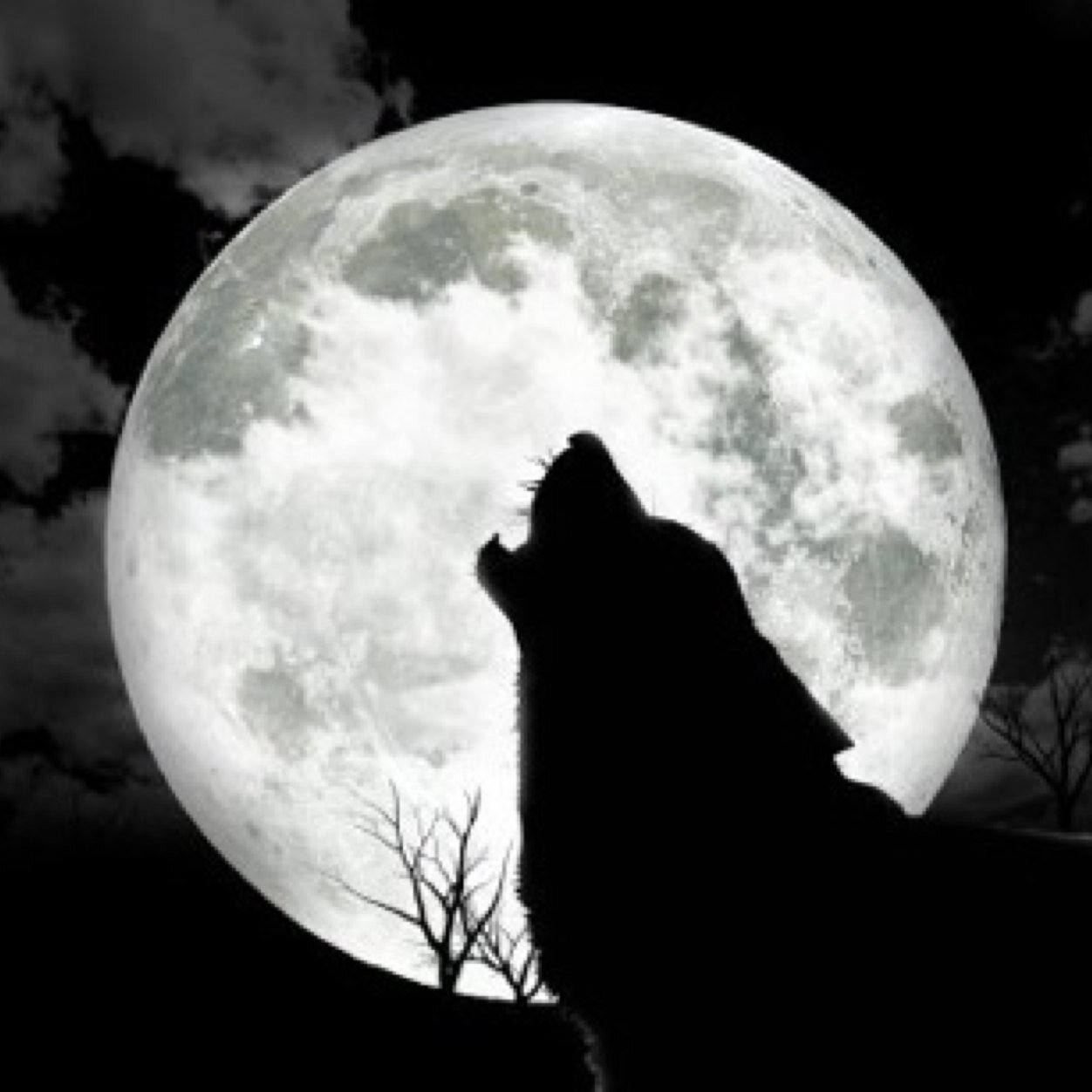 God, Jesus, Bands, Dubstep, Games, Livin' life, Music, Looking for music, Thx, Stay cool IG: howling_at_the_moon_10