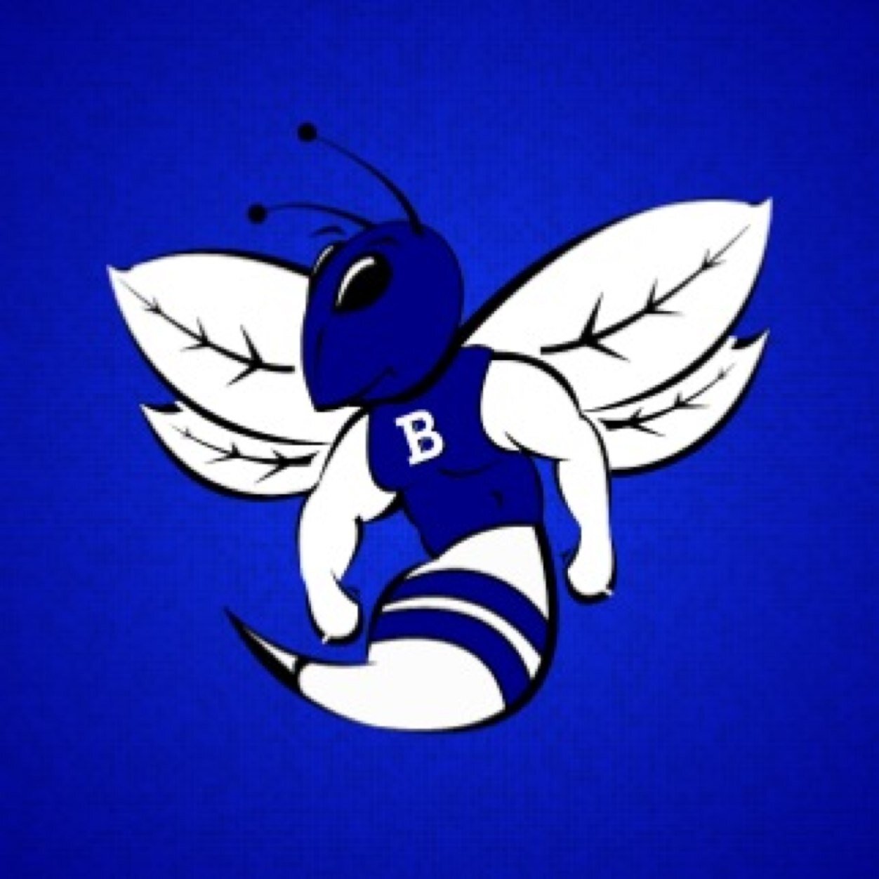 Official Twitter for Bryant High School Class of 2015 | It's a great day to be a Bryant Hornet!