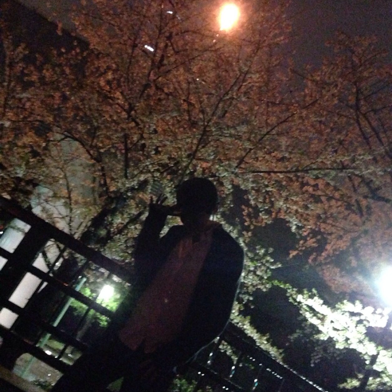 かずくんさんのプロフィール画像