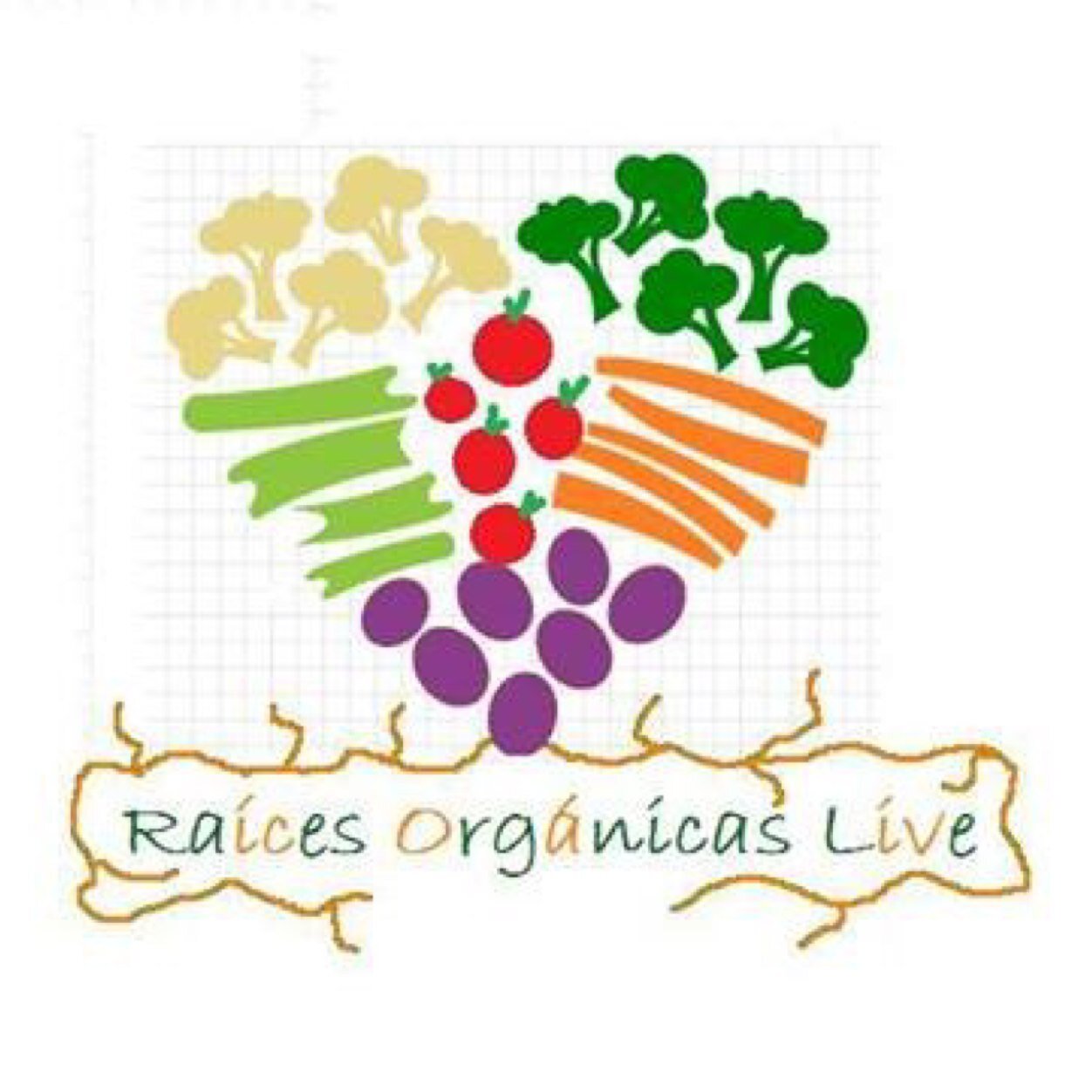 Raíces orgánicas Live, te ofrece los mejores productos orgánicos, naturales, artesanales y gluten free, unete a este movimiento de amor por tu salud.