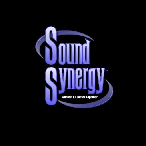 Sound Synergy is a professional team of custom installers, technicians & programmers  that can handle all of your Audio/Video Electronics System needs.