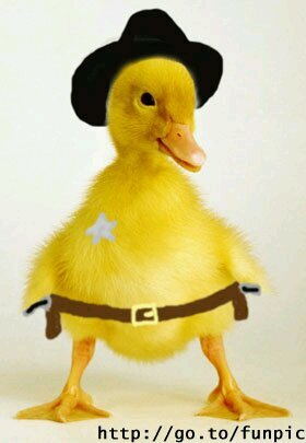 _sirez_'s profile picture. 