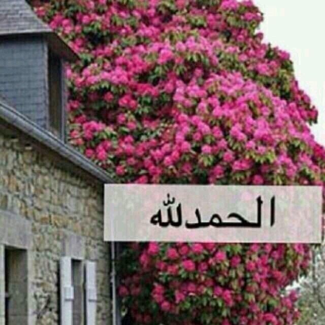 ‏اللهم صل وسلم على خير خلقك محمد بن عبدلله ♡