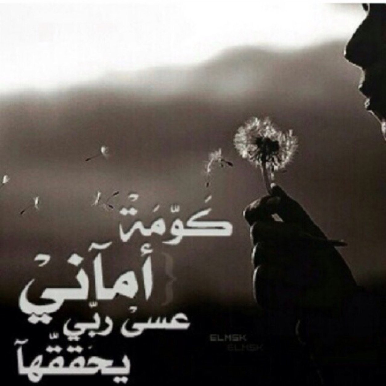 رسائلنا إلى الله بلا أوراق نرسلها بلا أبواب نقرعها نناجي الله في صمت ورب الكون يسمعنا