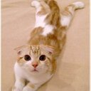 Vcid - @hehKorey_Price - Twitter