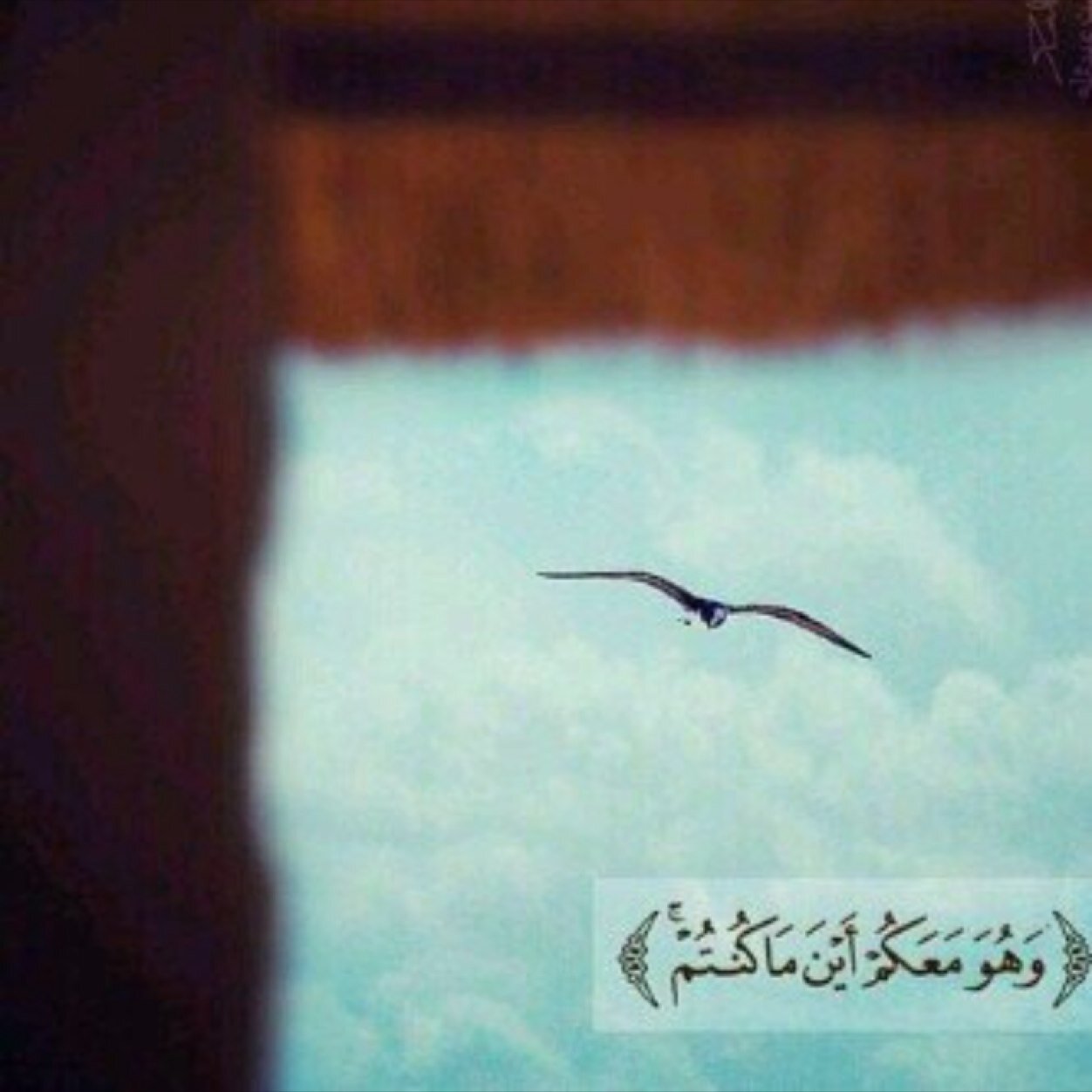 صدقه جاريه عني وعن والديّ وجميع المسلمين