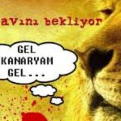 adım semih 12 yaşındayım mersinliyim favorilerim futbol oynamak