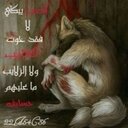 أغــبــى ذكــــي (@11v1p7Aameer) Twitter