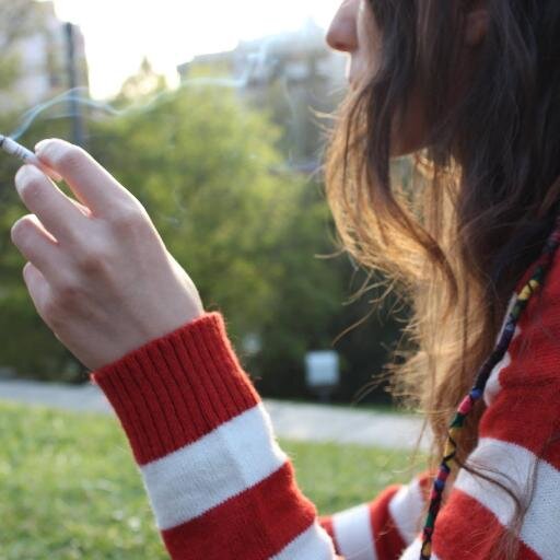 diskordansss's profile picture. 