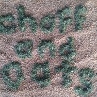 chaff and oats (@oats_and) 's Twitter Profile