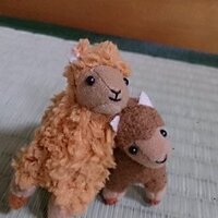 さとし (@peperin2014) 's Twitter Profile