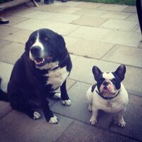 Jens Thomassen (@solebob1) 's Twitter Profile