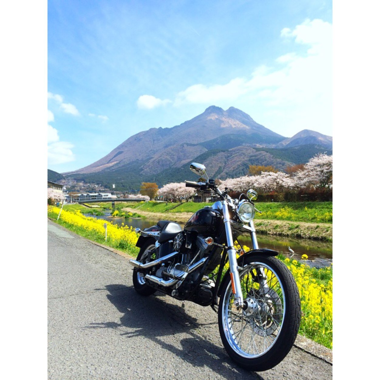 Oita JAPAN ☆HARLEY-DAVIDSON (04FXST)⇒ハンターカブ(CT125)#powwow_oita_touring ☆キャンプ ☆写真：EOS R 、EOS 5D Mark2、EOS7(ﾌｨﾙﾑ)→ポートレートモデル随時募集中 DMよりどうぞ ☆ﾚｻﾞｰｸﾗﾌﾄ ☆ﾊﾞﾚｰﾎﾞｰﾙ ☆