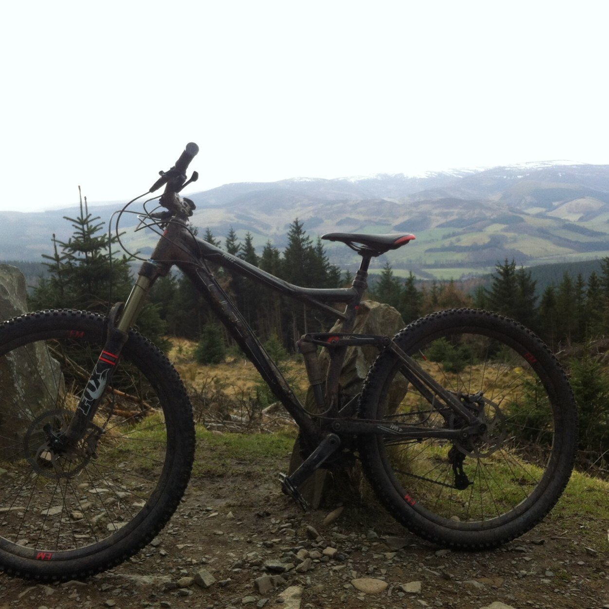 CraigCoggin's profile picture. We all f**king love leeds!!