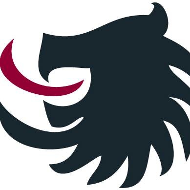 programleaders's profile picture. een programma is meer dan een verzameling projecten