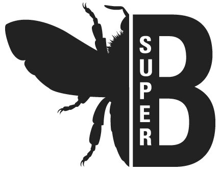 SUPER_B_EU Profile Picture