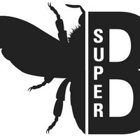 Super B (@super_b_eu) 's Twitter Profile