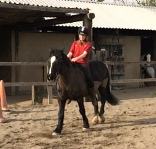 snippony's profile picture. {Live . Love . Ride} teen trying to juggle school and riding. Also a professional fangirl but i'll try not to bore you with that...