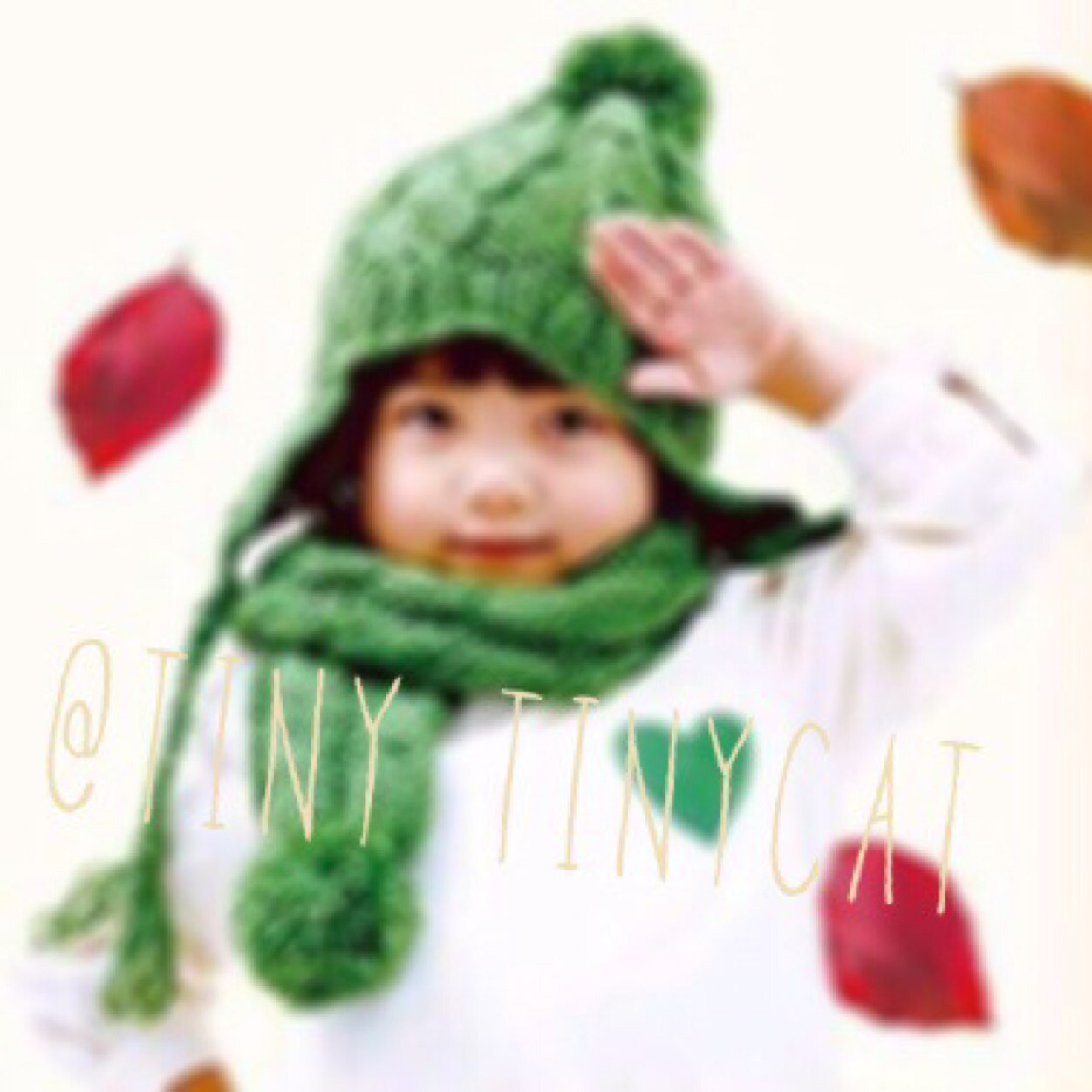 tiny_tinycat's profile picture. あとはんとし。