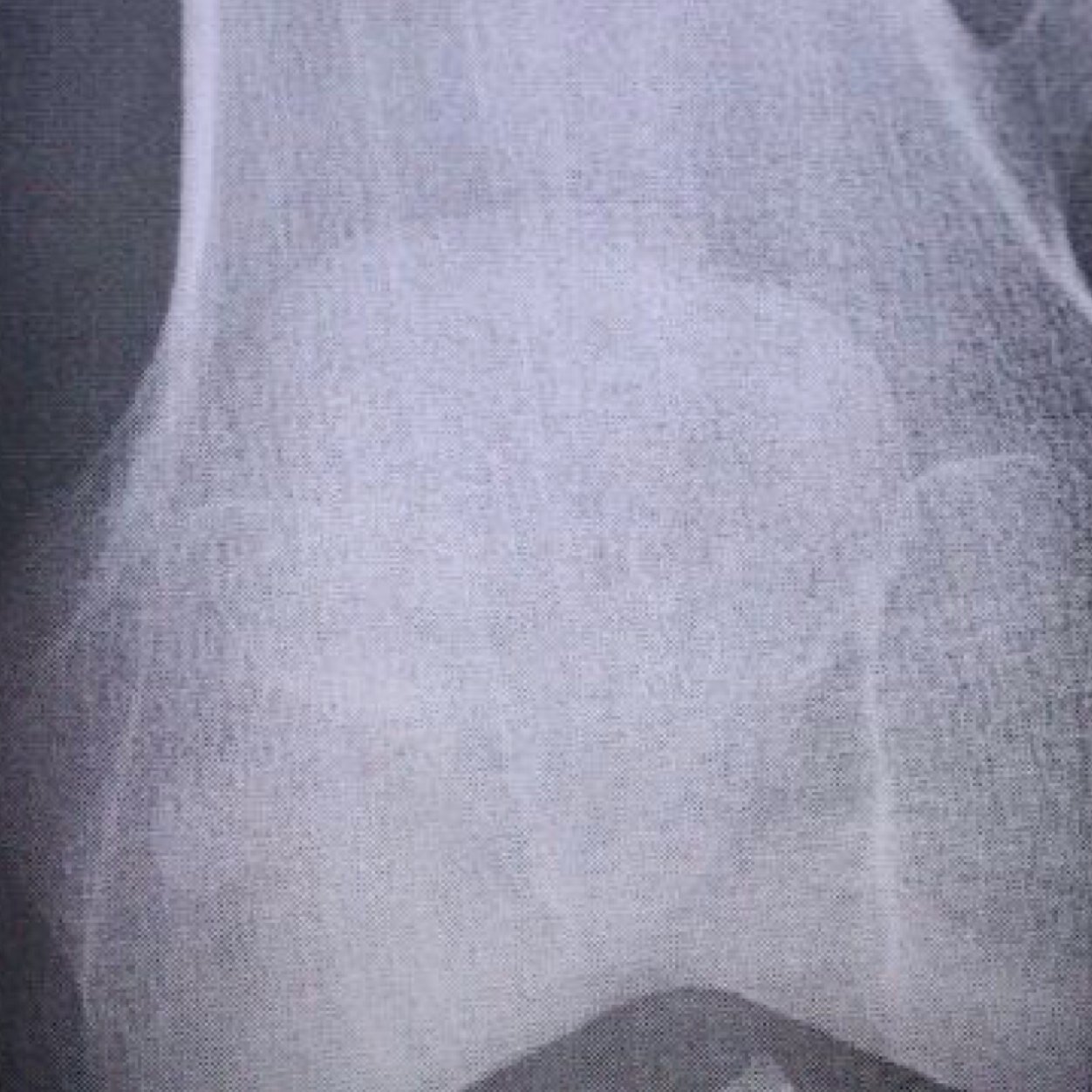 Mary_Poppins87's profile picture. 