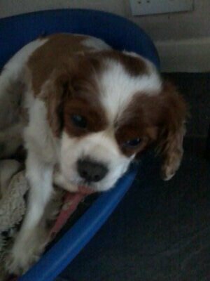 BenCunliffe26's profile picture. 