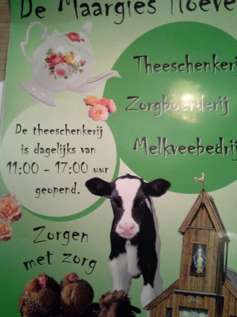 Eigenaar van melkveebedrijf, zorgboerderij, theeschenkerij en Maargies Kooklokaal De Maargies Hoeve. Vader van 3 kids en opa van het mooiste kleinkind  Senn