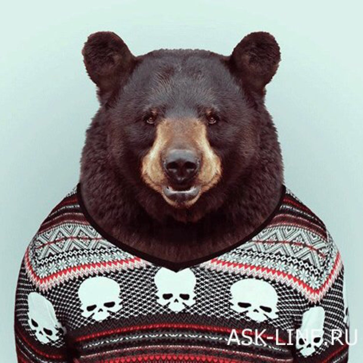 Мой девиз: #ЧитаюВзаимно