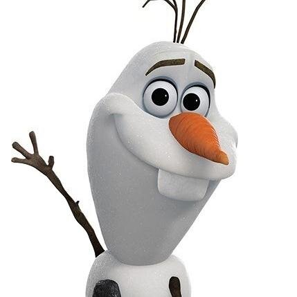 HI I'M OLAF AND I LOVE WARM HUGSXXX