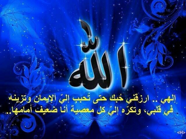 علي الصهلولي 