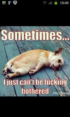 sensatori1958's profile picture. 