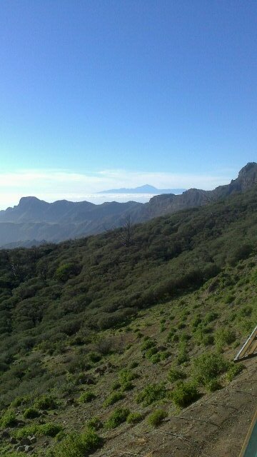 niaso9's profile picture. 