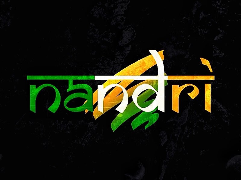 Nandri is a home based company, delivering you freshly cooked Indian meals within the Northern Johannesburg Area.