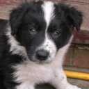 lynne clayton mason - @tubs60 - Twitter