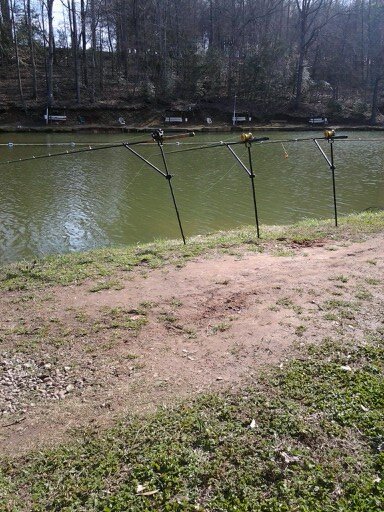 98b2ceba27a5470's profile picture. 