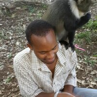lee (@dennisleeee) 's Twitter Profile