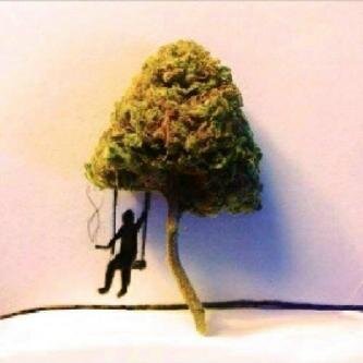#Onelove#onenation#gud Music,friendsandweed#DaHighLyf