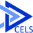 celsgroup's profile image