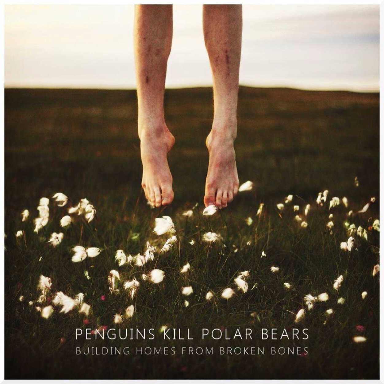 Penguins Kill Polar Bears.
We make loud music.

Ben Proudlock
Fraser Sanaghan
Gregor Graham
Kieran McGuickan