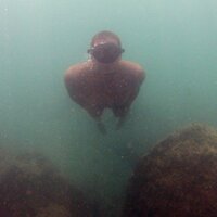 Enea Parimbelli (@neneparimbelli) 's Twitter Profile Photo