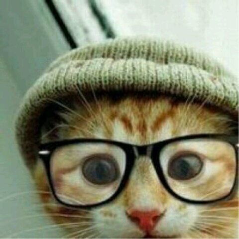 adefesgrhjv's profile picture. هذا رقمي أناأحمد 0535369915