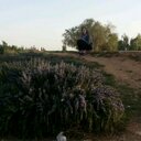 Mona Simon - @ObeidMonaSimon - Twitter