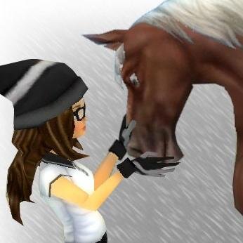 Hi! :) I'm just a star stable online player, visit my swedish blog: http://t.co/fHOVpnWxEp! :D