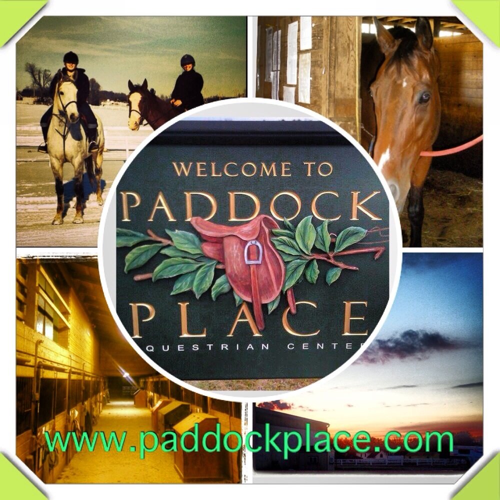 Horse Shows, riding lessons, boarding, birthday parties, ring rental, layups, training, and much more. Located in Harford County, MD. Follow us! We follow back!